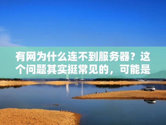 有网为什么连不到服务器？这个问题其实挺常见的，可能是因为以下原因导致的。让我来为你详细分析一下