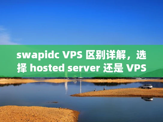 swapidc VPS 区别详解，选择 hosted server 还是 VPS？