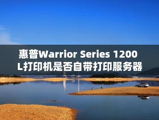 惠普Warrior Series 1200 L打印机是否自带打印服务器功能？