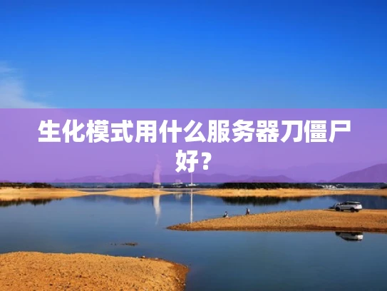 生化模式用什么服务器刀僵尸好？