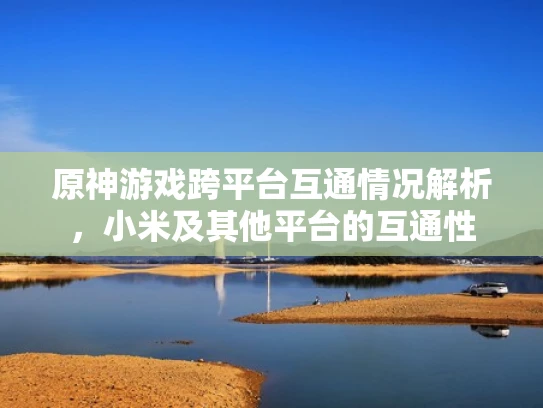 原神游戏跨平台互通情况解析，小米及其他平台的互通性