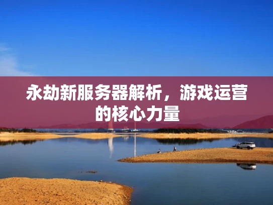 永劫新服务器解析，游戏运营的核心力量