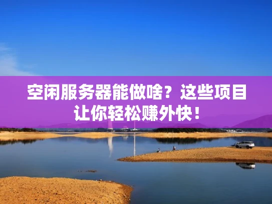 空闲服务器能做啥？这些项目让你轻松赚外快！