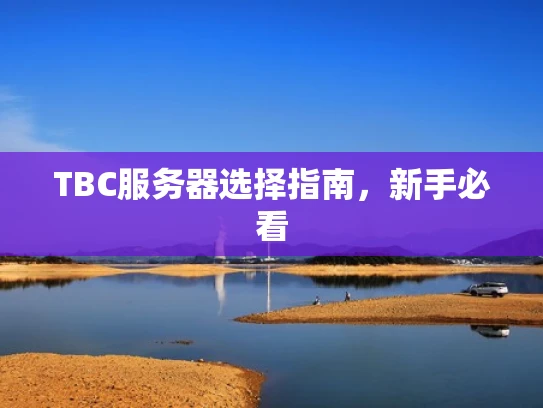 TBC服务器选择指南，新手必看