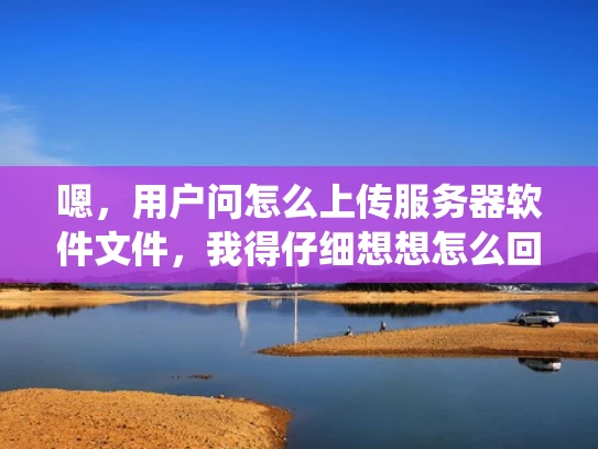 嗯，用户问怎么上传服务器软件文件，我得仔细想想怎么回答。首先，我得考虑用户可能的使用场景，可能是个网络管理员或者开发人员，他们需要上传软件到服务器，可能是安装新系统、应用软件或者脚本