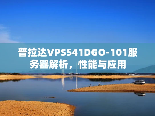 普拉达VPS541DGO-101服务器解析，性能与应用