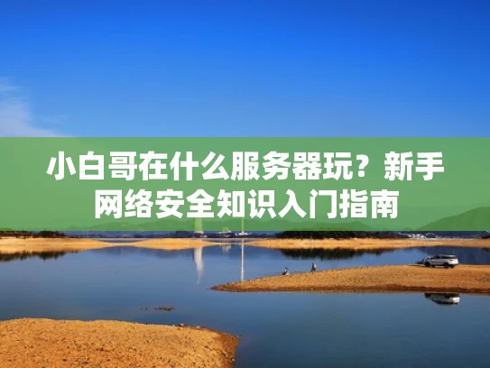 小白哥在什么服务器玩？新手网络安全知识入门指南