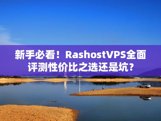 新手必看！RashostVPS全面评测性价比之选还是坑？