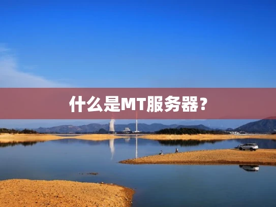 什么是MT服务器？