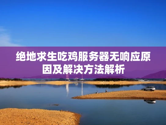 绝地求生吃鸡服务器无响应原因及解决方法解析