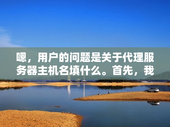嗯，用户的问题是关于代理服务器主机名填什么。首先，我得理解用户的需求。他们可能在设置代理服务器，但不确定主机名应该填什么。可能是因为他们不太熟悉网络配置，或者是在学习如何设置代理服务器