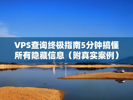 VPS查询终极指南5分钟搞懂所有隐藏信息（附真实案例）