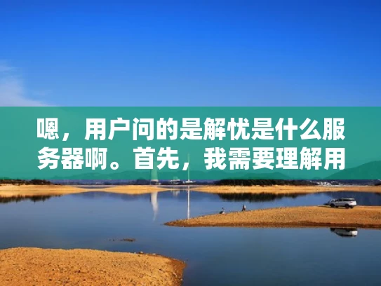 嗯，用户问的是解忧是什么服务器啊。首先，我需要理解用户的问题。他们可能不太清楚解忧这个服务器是什么，或者想确认一下它具体是什么类型的服务
