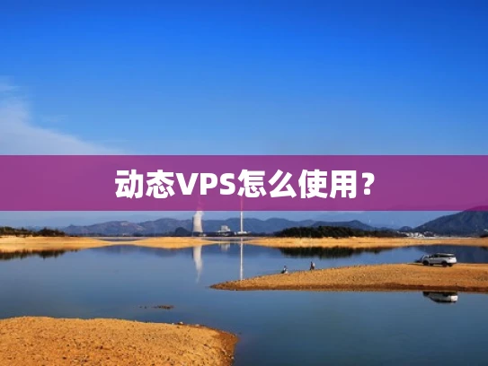 动态VPS怎么使用？