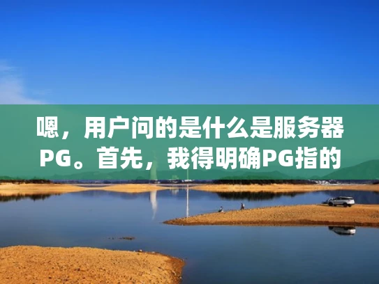 嗯，用户问的是什么是服务器PG。首先，我得明确PG指的是PostgreSQL，这是一个功能强大的开源数据库。我应该先解释PostgreSQL是什么，然后提到PG是在其基础上扩展的框架或工具