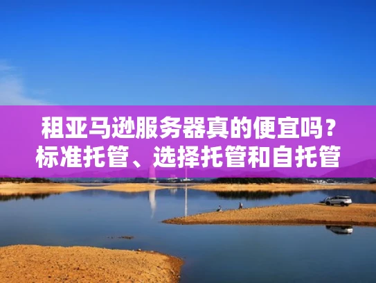 租亚马逊服务器真的便宜吗？标准托管、选择托管和自托管的对比分析
