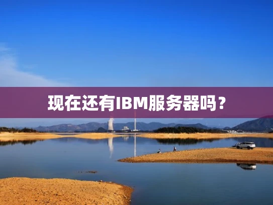 现在还有IBM服务器吗？