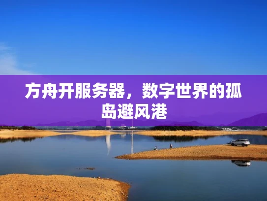 方舟开服务器，数字世界的孤岛避风港