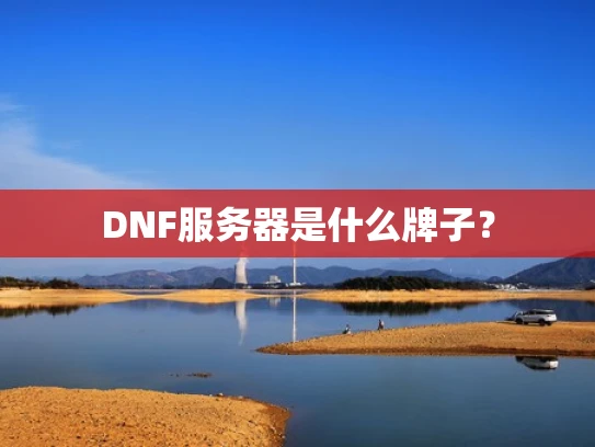 DNF服务器是什么牌子？