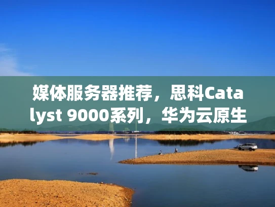 媒体服务器推荐，思科Catalyst 9000系列，华为云原生系列，VMware vSAN，Dell PowerEdge M