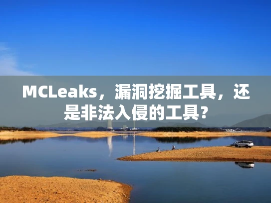 MCLeaks，漏洞挖掘工具，还是非法入侵的工具？