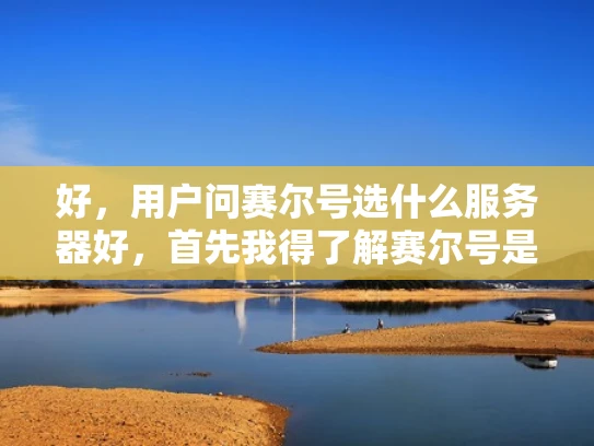 好，用户问赛尔号选什么服务器好，首先我得了解赛尔号是什么。赛尔号是一个以游戏为主题的虚拟社区，用户很多，对游戏体验要求高。服务器选择对游戏运行、稳定性、用户体验都有影响