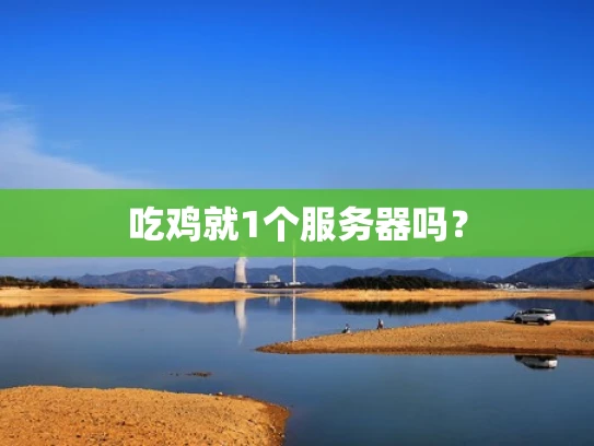 吃鸡就1个服务器吗？