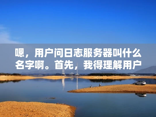 嗯，用户问日志服务器叫什么名字啊。首先，我得理解用户的问题。日志服务器，也就是日志服务器的名字，可能用户不太确定这个术语，或者想确认是否有特定的名字