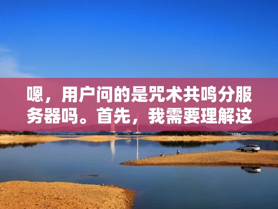 嗯，用户问的是咒术共鸣分服务器吗。首先，我需要理解这个问题。咒术共鸣是一个游戏，可能涉及到游戏的服务器设置。用户可能在问这个游戏是否有分服务器模式，或者是否支持多服务器联机