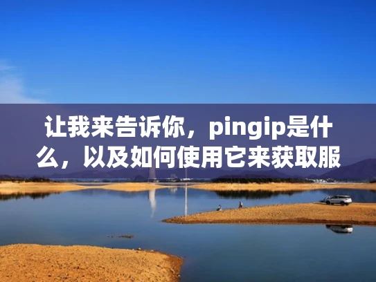 让我来告诉你，pingip是什么，以及如何使用它来获取服务器状态