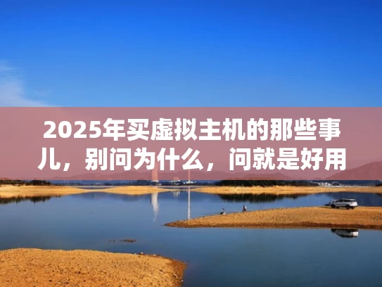 2025年买虚拟主机的那些事儿，别问为什么，问就是好用！