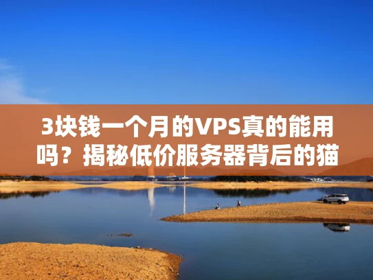 3块钱一个月的VPS真的能用吗？揭秘低价服务器背后的猫腻