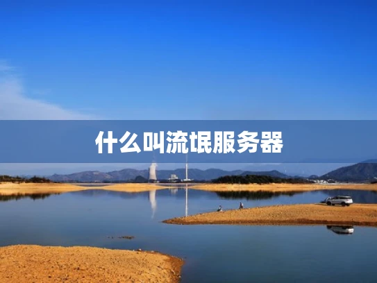 什么叫流氓服务器