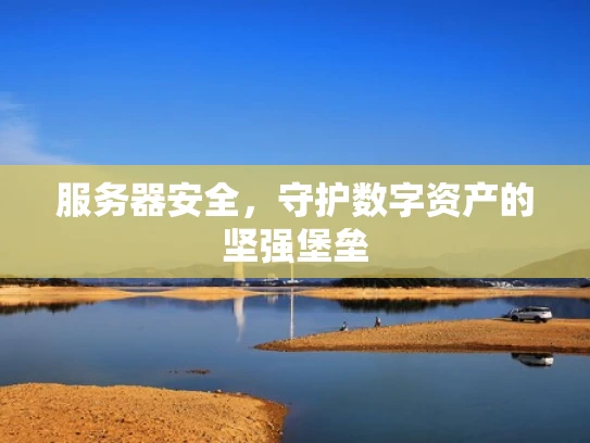 服务器安全，守护数字资产的坚强堡垒