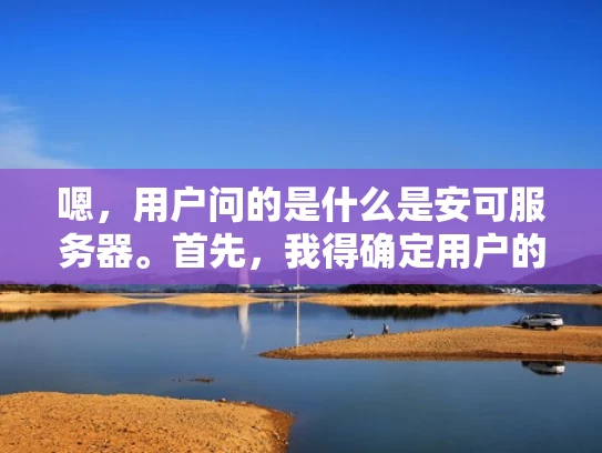 嗯，用户问的是什么是安可服务器。首先，我得确定用户的问题是什么，可能是在学习网络安全，或者在工作中遇到了相关问题。安可服务器听起来像是一个术语，可能是指某种用于攻击的服务器，但我不确定