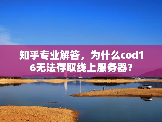 知乎专业解答，为什么cod16无法存取线上服务器？