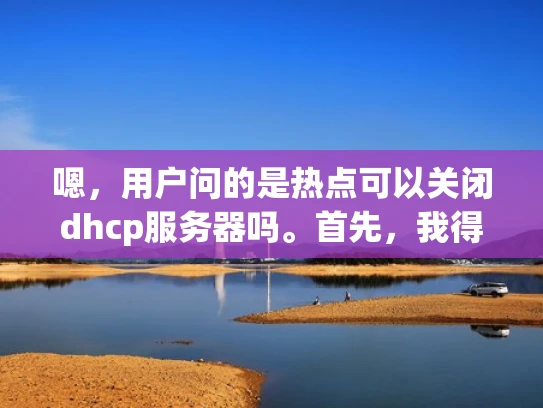 嗯，用户问的是热点可以关闭dhcp服务器吗。首先，我得弄清楚用户的具体需求是什么。可能用户有一个路由器，或者某个设备，想关闭 DHCP 服务器，但不太清楚怎么操作或者是否可以这样做