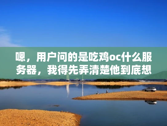 嗯，用户问的是吃鸡oc什么服务器，我得先弄清楚他到底想做什么。可能他是在玩绝地求生（PUBG）想优化游戏体验，所以问服务器配置。也有可能是想提升游戏画质或运行速度，所以需要推荐合适的配置