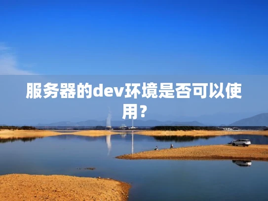 服务器的dev环境是否可以使用？