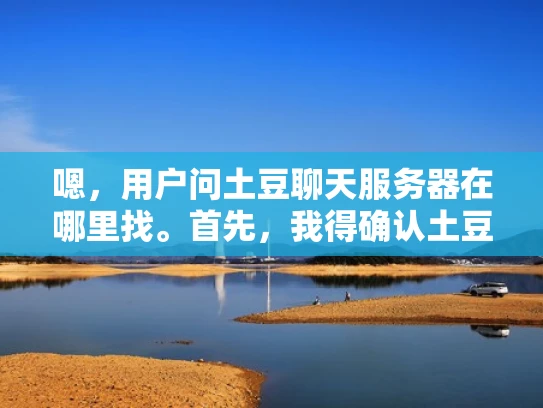嗯，用户问土豆聊天服务器在哪里找。首先，我得确认土豆聊天服务器是什么。土豆可能是一个平台或者服务，但我不太确定具体是什么。可能是一个视频分享平台，比如土豆视频？或者是其他类型的聊天服务器？