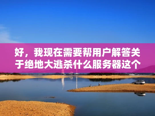 好，我现在需要帮用户解答关于绝地大逃杀什么服务器这个问题。首先，用户可能是在玩绝地求生这个游戏，可能对游戏中的服务器设置不太了解，想了解如何选择适合自己游戏体验的服务器