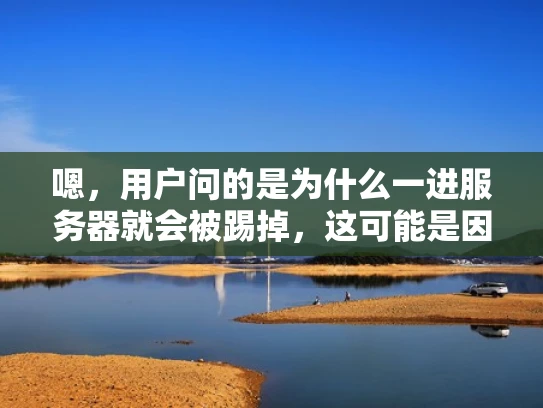 嗯，用户问的是为什么一进服务器就会被踢掉，这可能是因为他刚接触服务器操作，或者遇到了连接被拒绝的问题。首先，我得分析可能的原因，然后用简洁易懂的方式解释