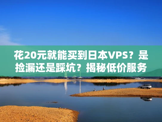花20元就能买到日本VPS？是捡漏还是踩坑？揭秘低价服务器的真相