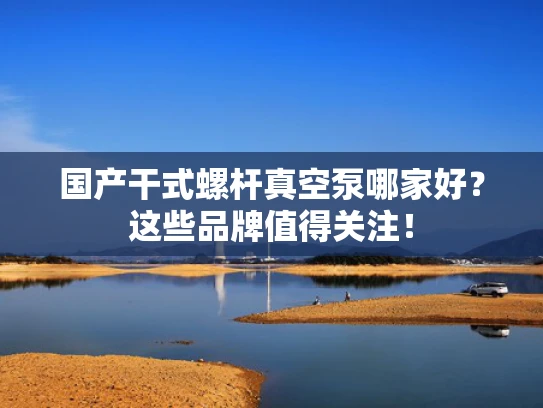 国产干式螺杆真空泵哪家好？这些品牌值得关注！