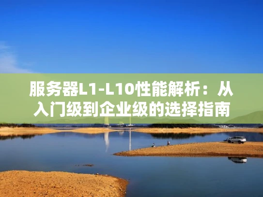 服务器L1-L10性能解析：从入门级到企业级的选择指南