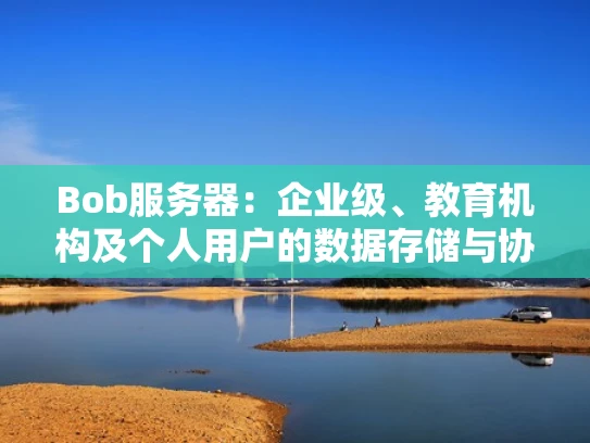 Bob服务器：企业级、教育机构及个人用户的数据存储与协作解决方案