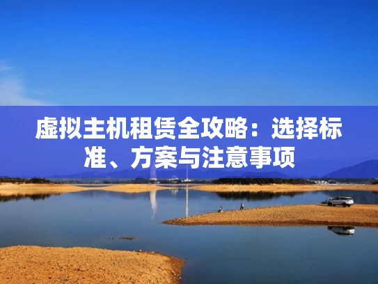 虚拟主机租赁全攻略：选择标准、方案与注意事项