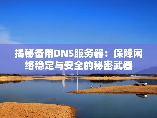揭秘备用DNS服务器：保障网络稳定与安全的秘密武器