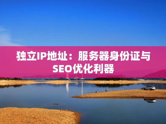 独立IP地址：服务器身份证与SEO优化利器