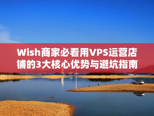 Wish商家必看用VPS运营店铺的3大核心优势与避坑指南（附真实案例）